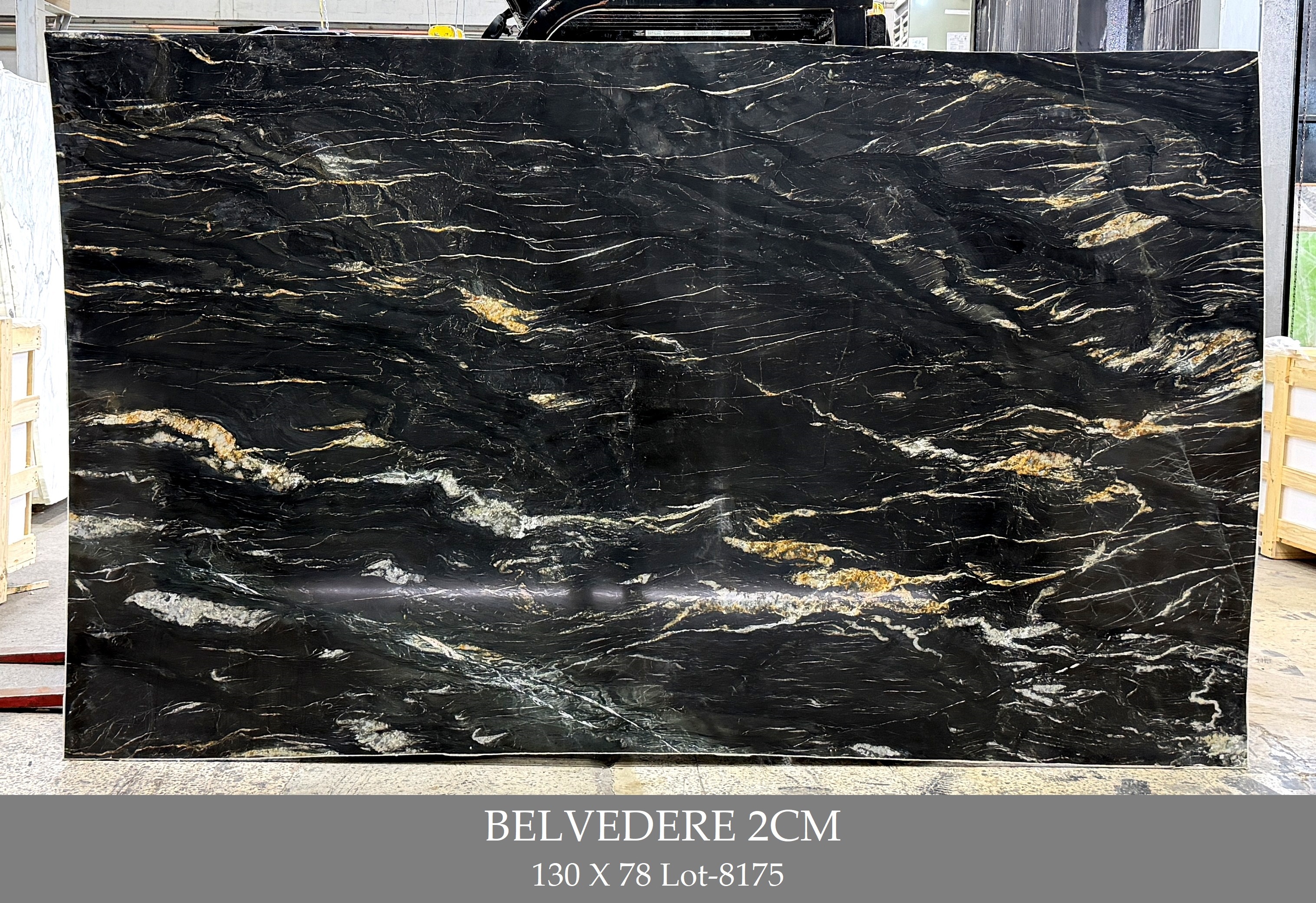 Belvedere 2cm 130x75 Lot 130x78 1