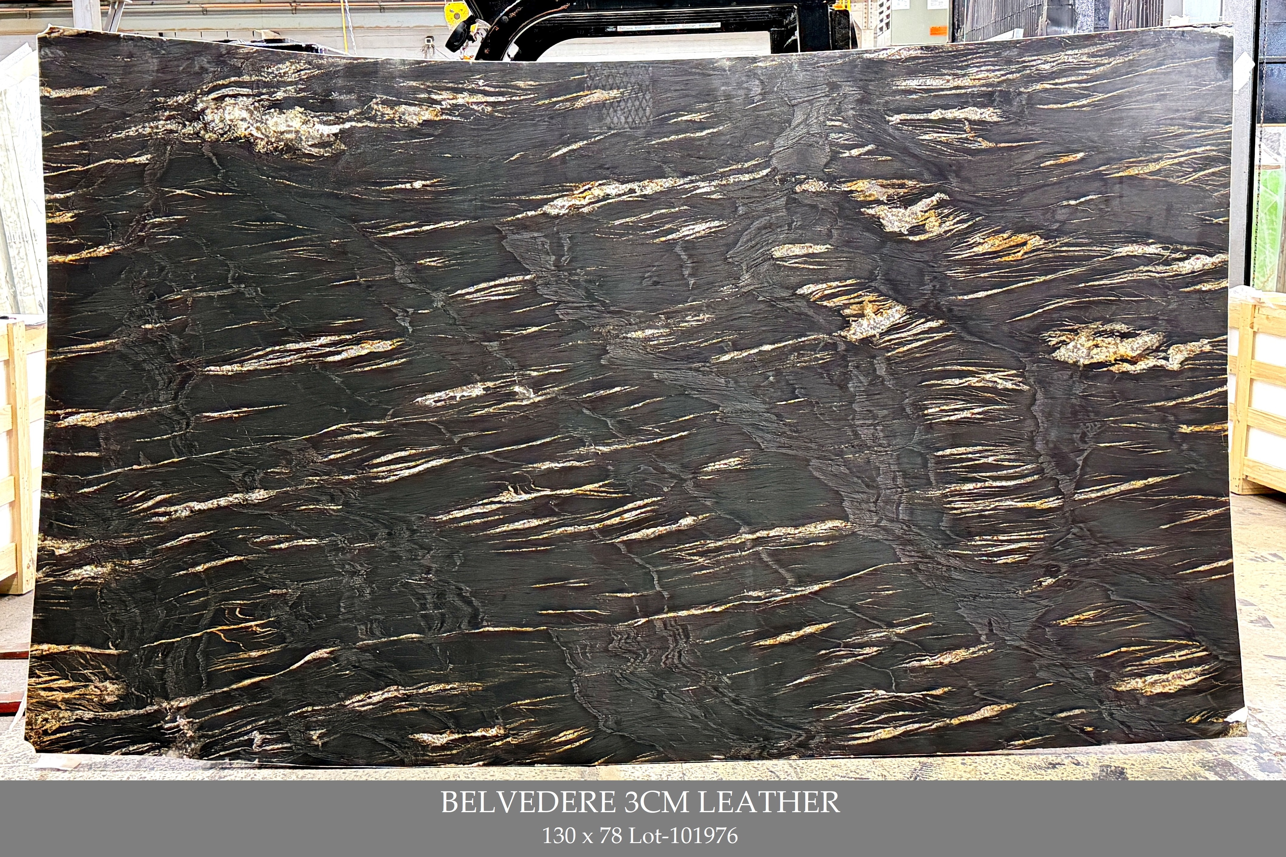 Belvedere 3cm Leather Lot 101976 130x78 1