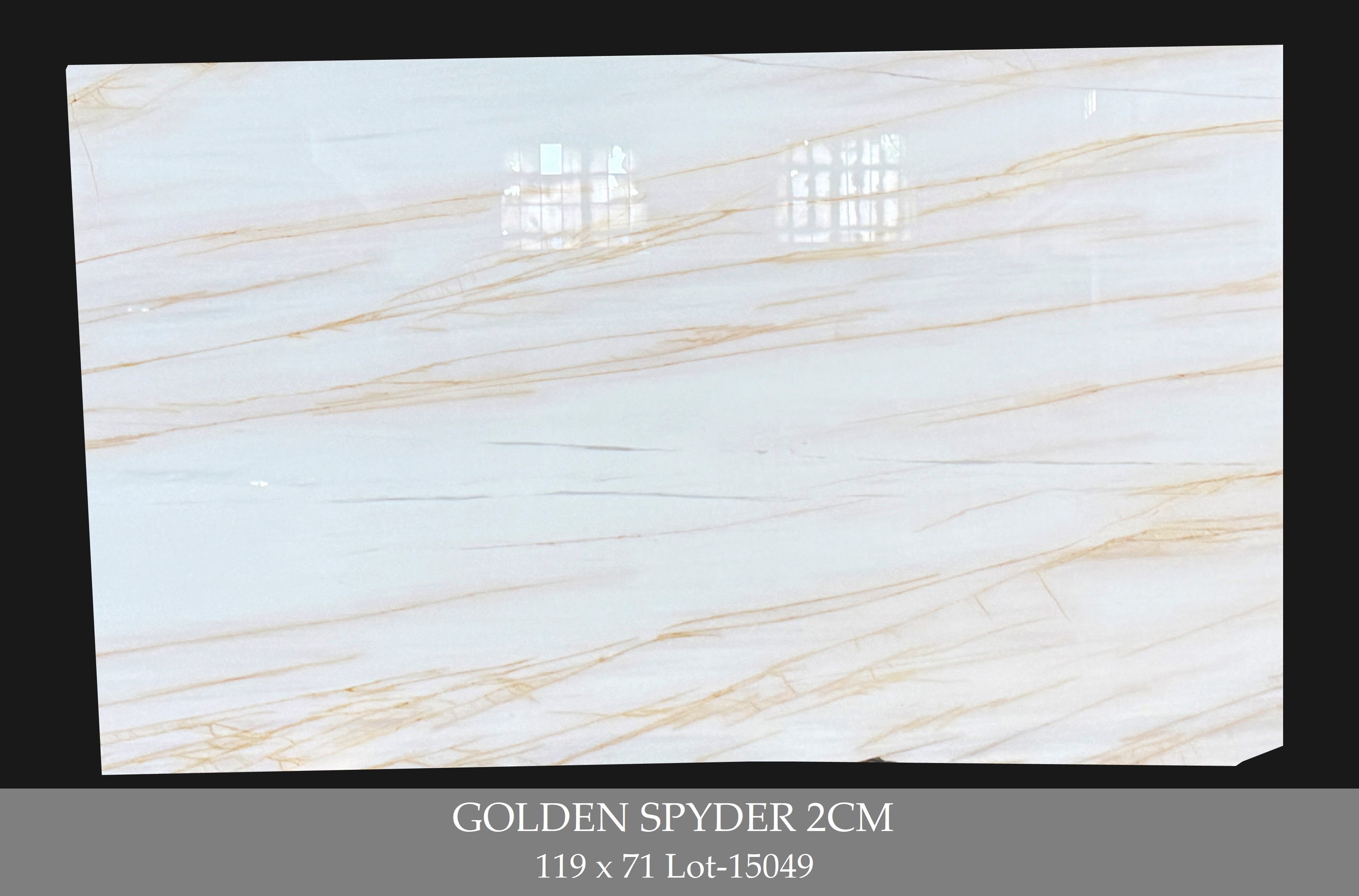 GOLDEN SPYDER 2CM