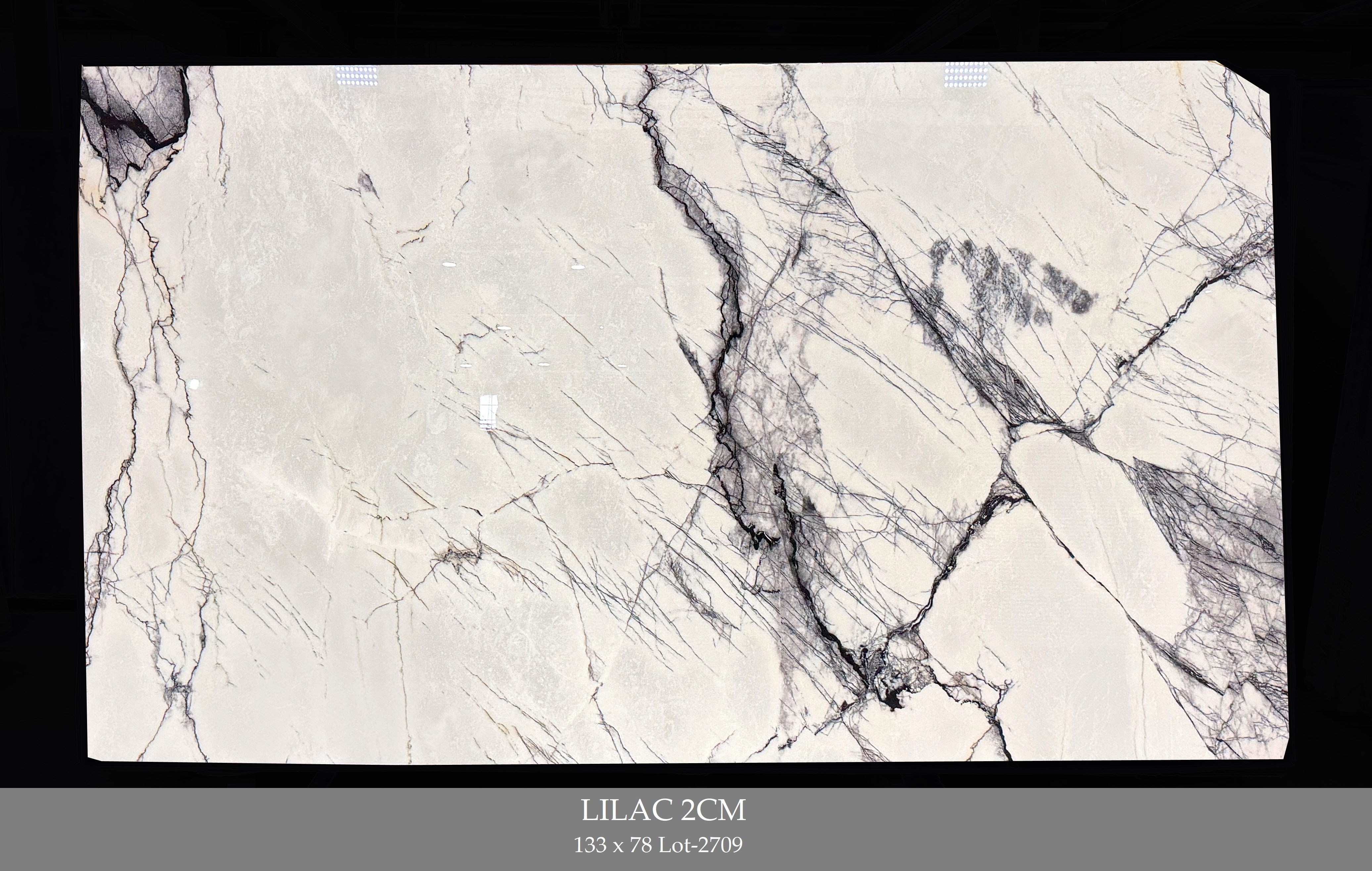 LILAC 2CM