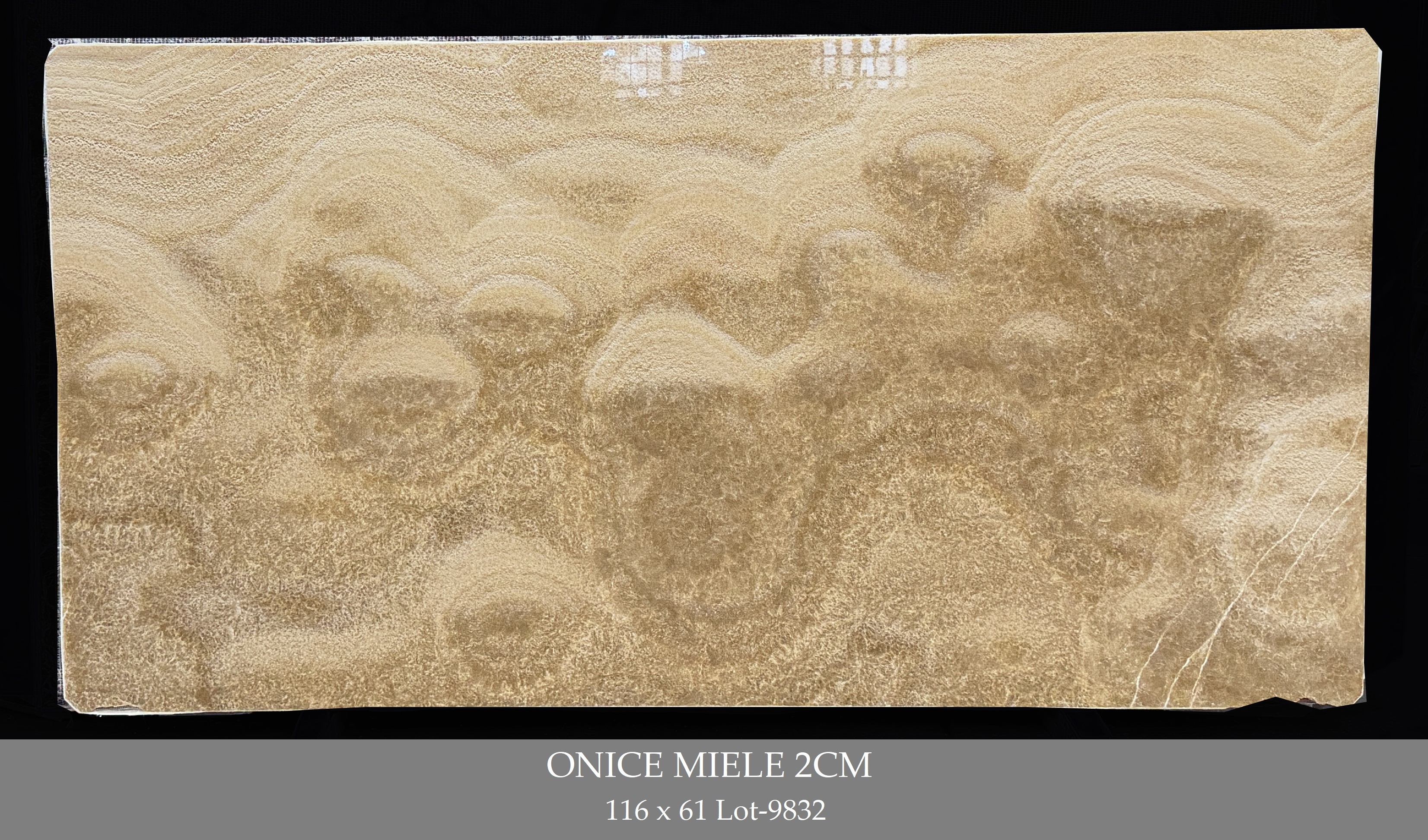MIELE ONYX 2CM